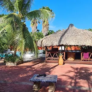 Woodstock Palmresort Bed & Breakfast